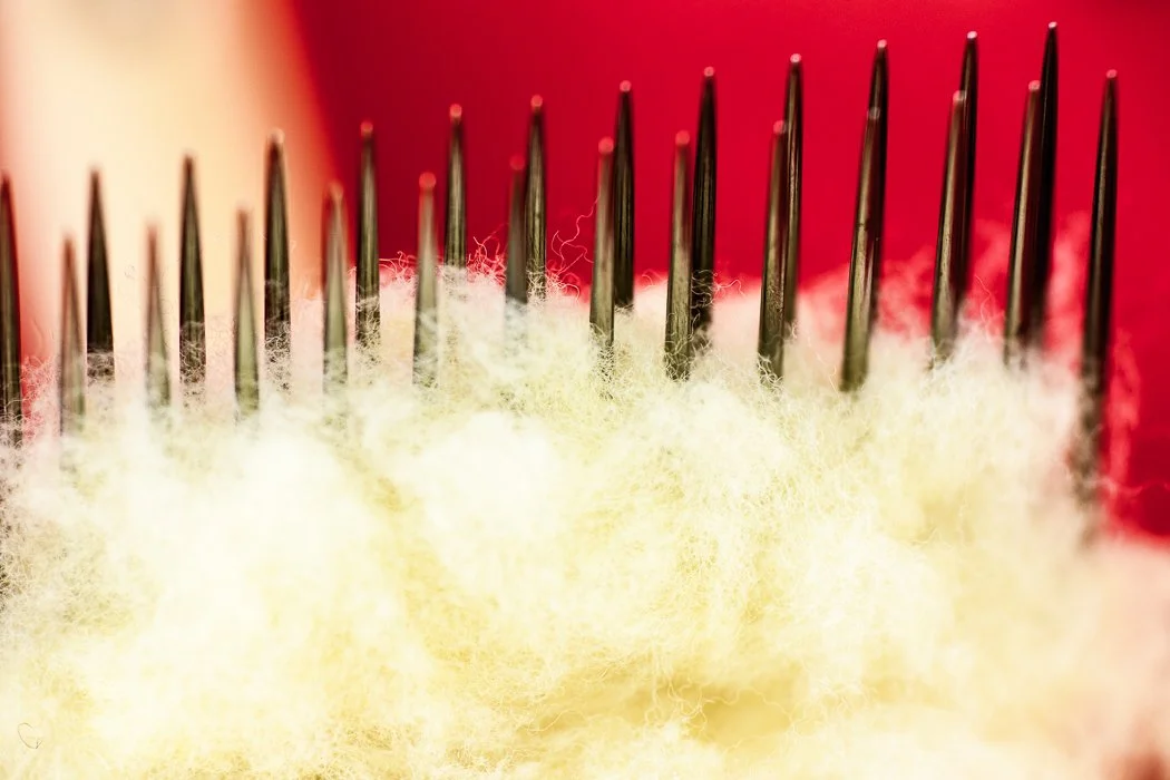 20241012-20241012-_DSC4987 -D850.jpeg