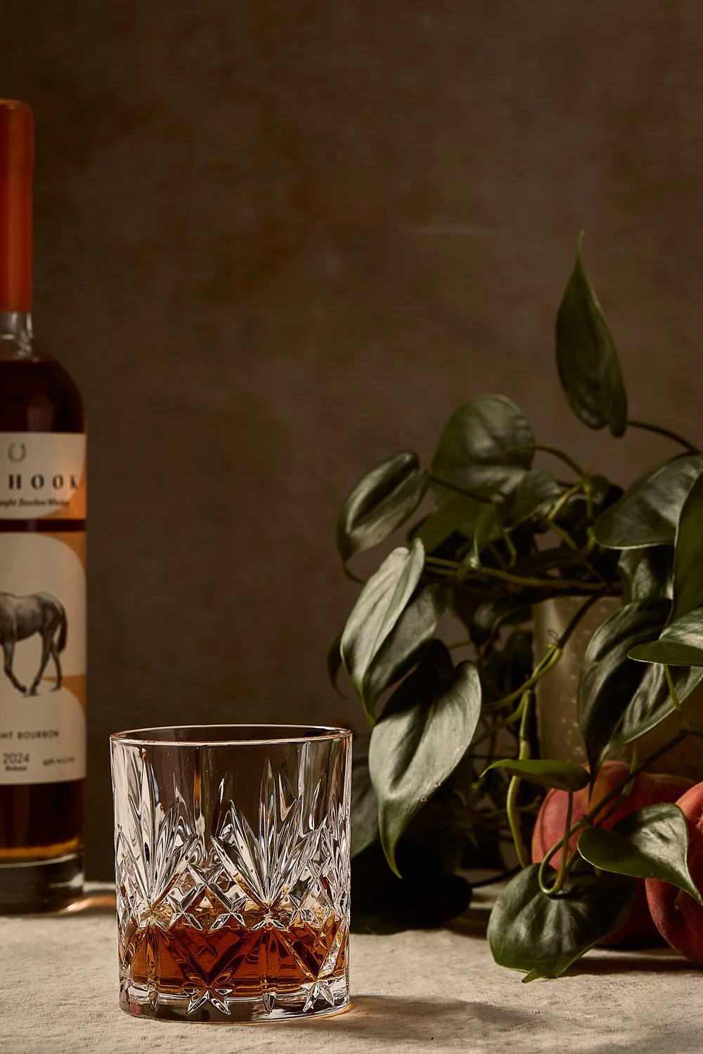 bourbon-rocks-glass-pinhook-bottle-plant-still-life.jpg