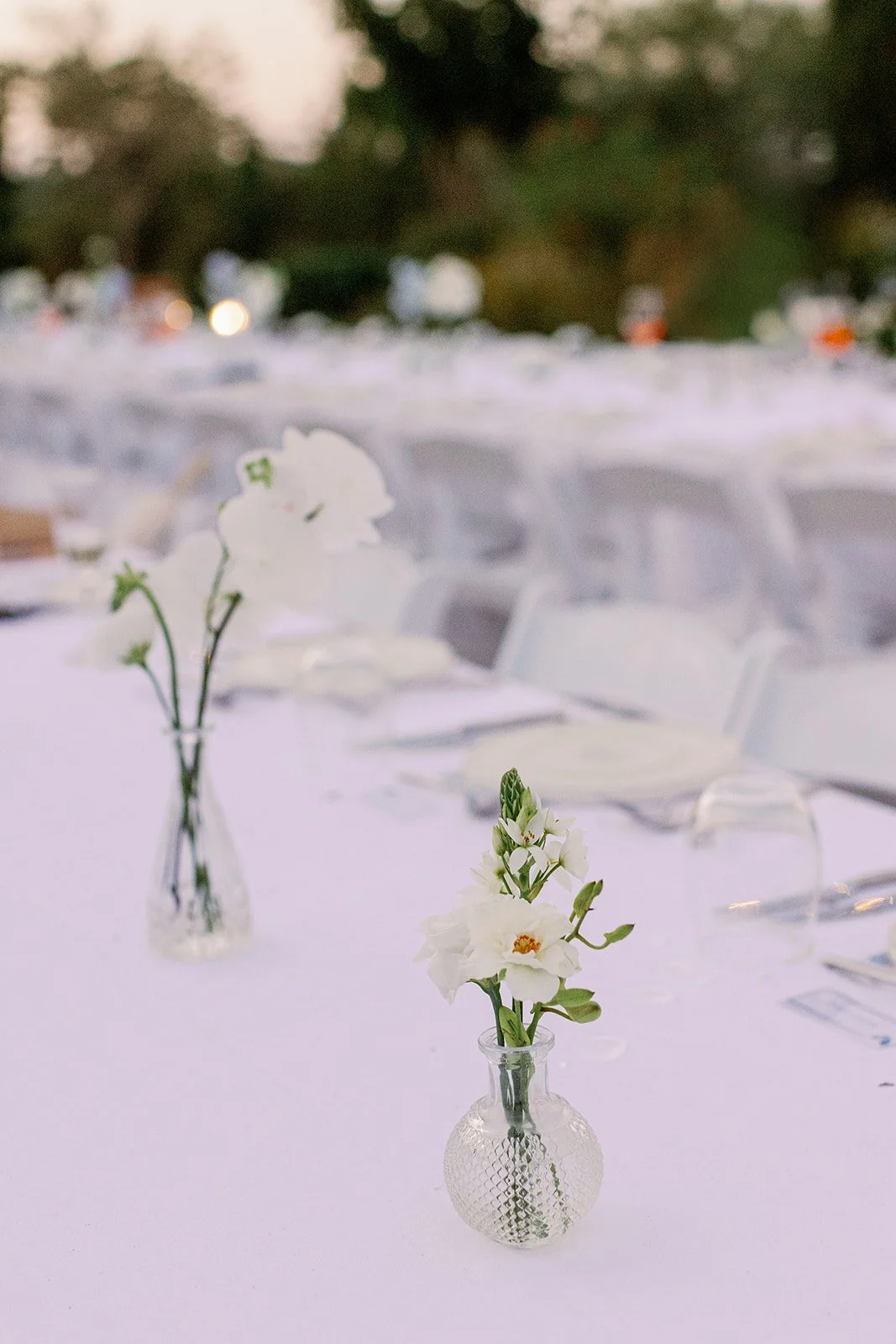 Kithira_wedding-cytherea-JULIA & PHILLIP-114.jpg