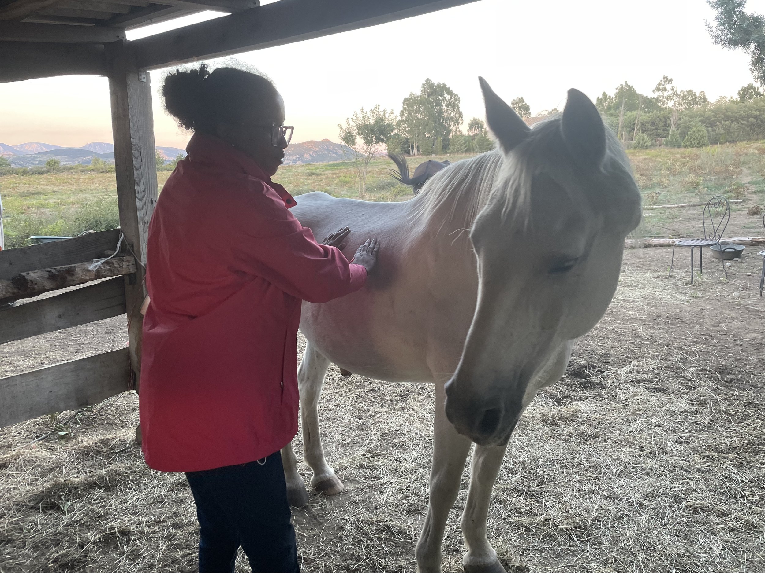 Séance de kinésiologie animalière sur un cheval, kinésiologie animale, kinésiologue animale certifiée FELICITE Yseult, vert le mieux©