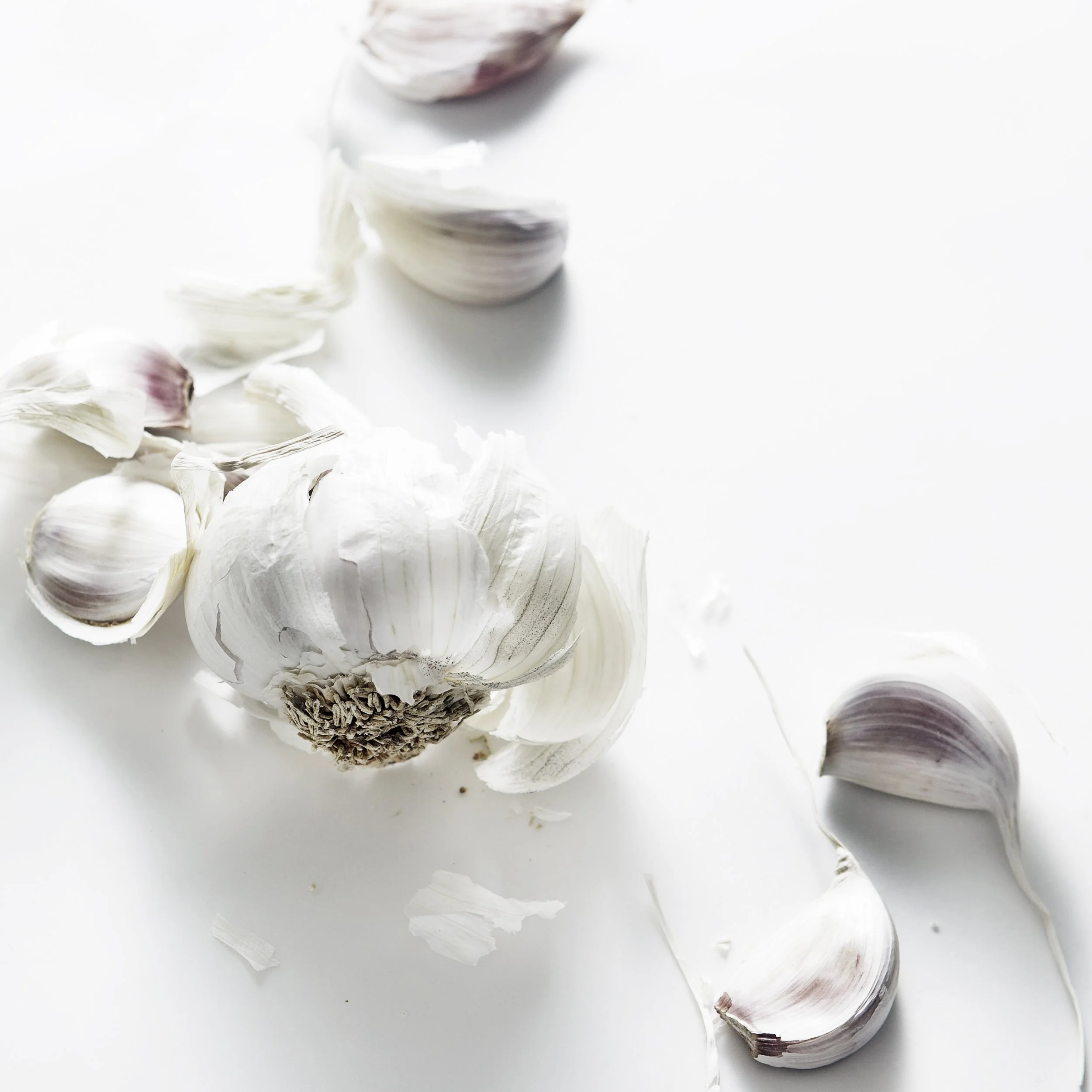 garlic2.jpg