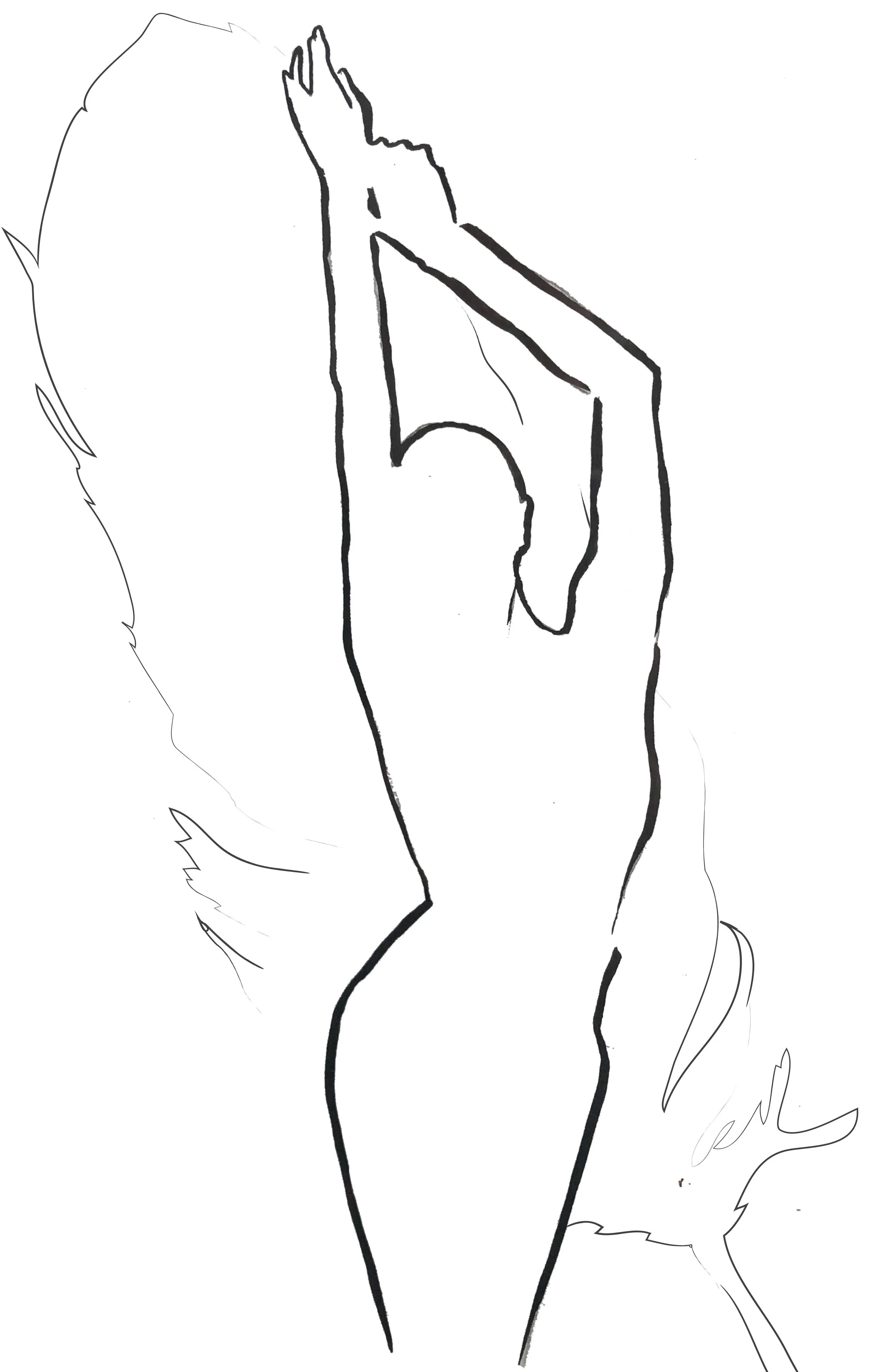 feather2.jpg