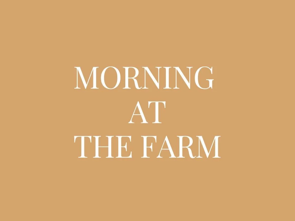 Morning at the Farm