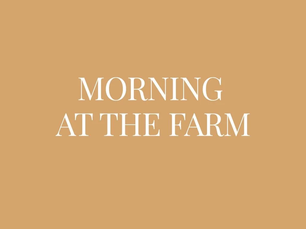 Morning at the Farm