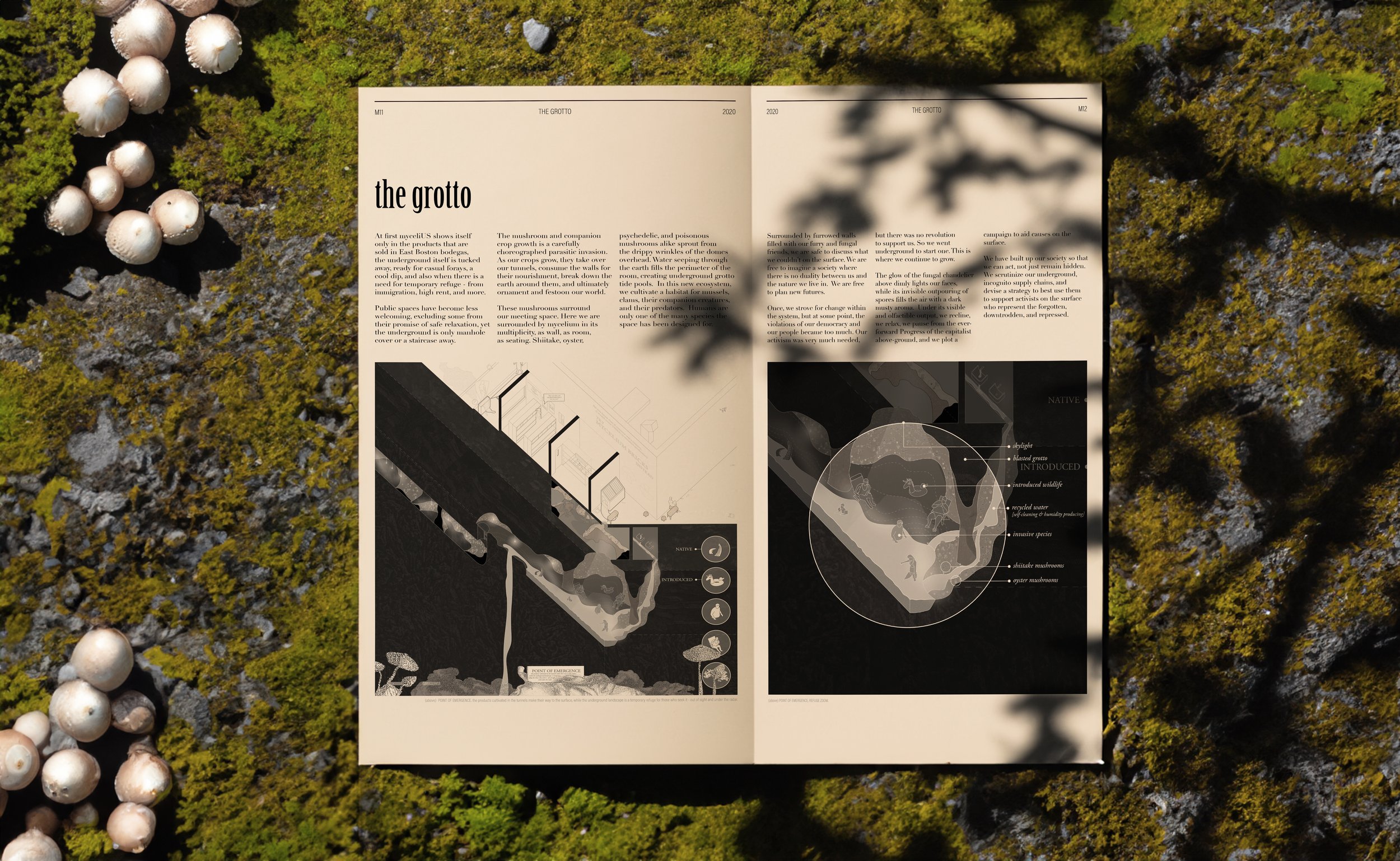 aimockup_6.jpg