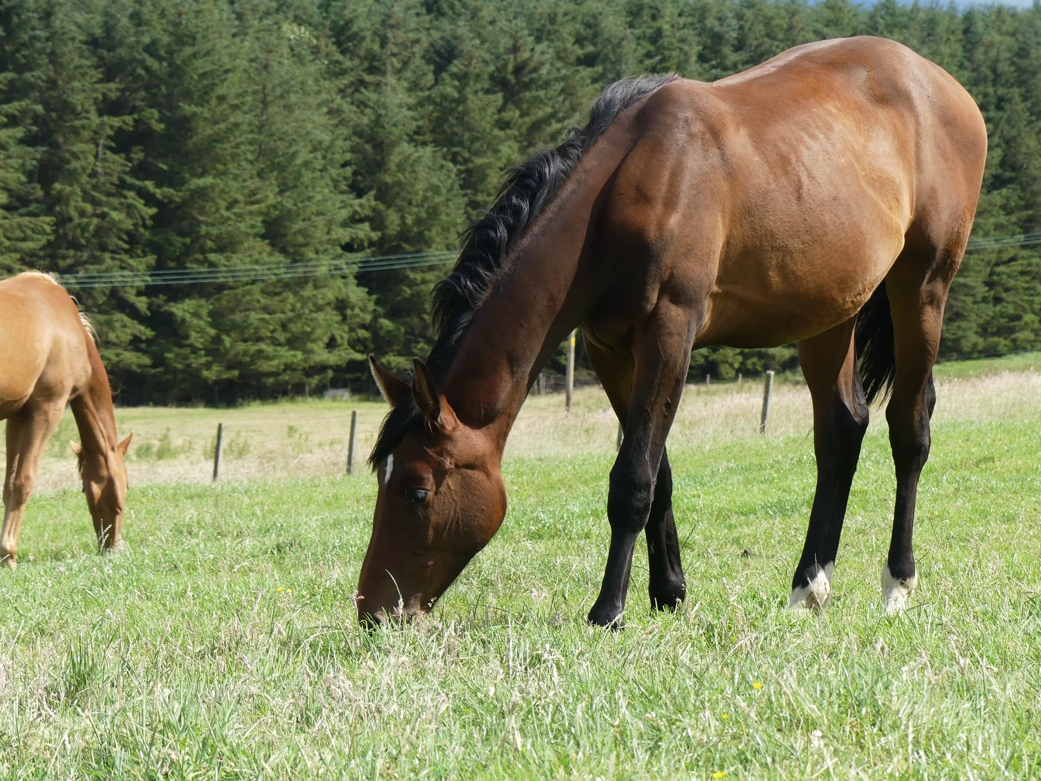 0FA0B701-3F43-48FF-B181-28829C273DC1 Louise Millar.jpeg