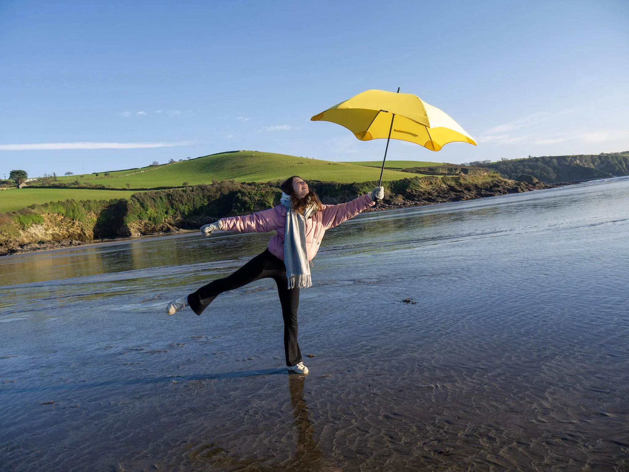 Yellow Umbrella Society (2026)