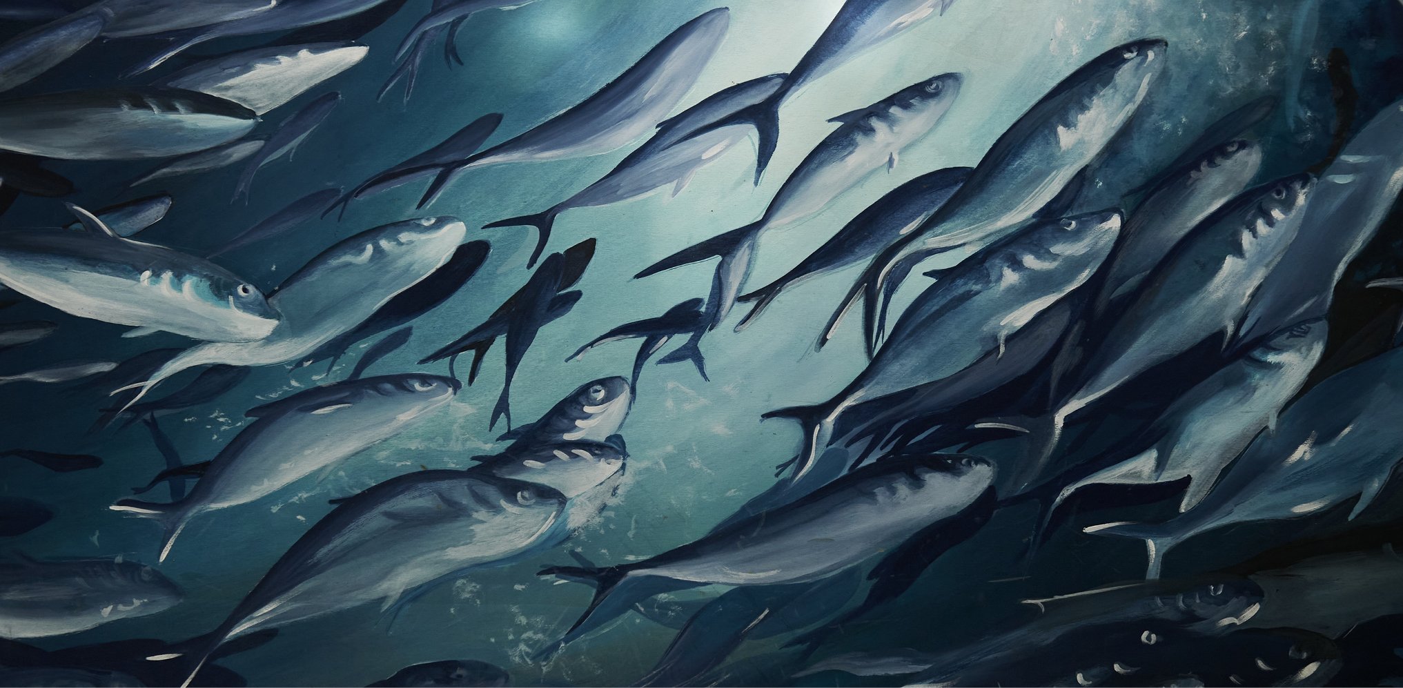 BANNER HORIZONTAL .jpg