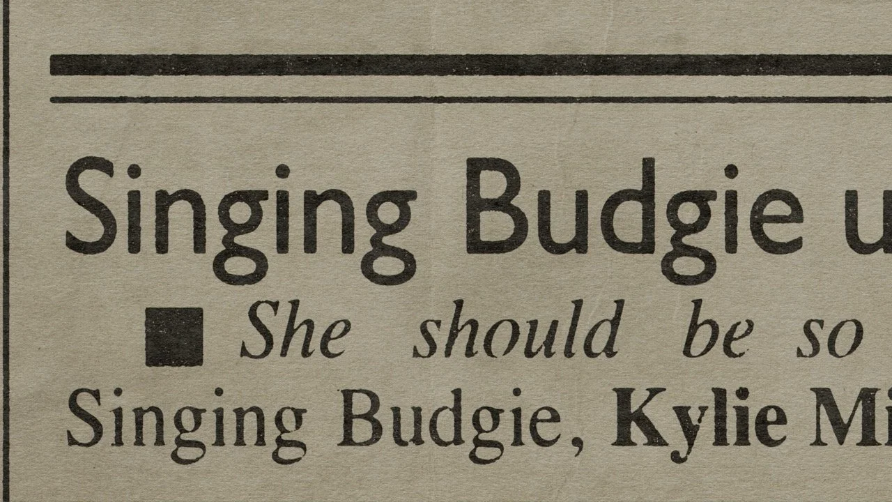 058 newspaper_SINGING_BUDGIE_1 Large.jpeg