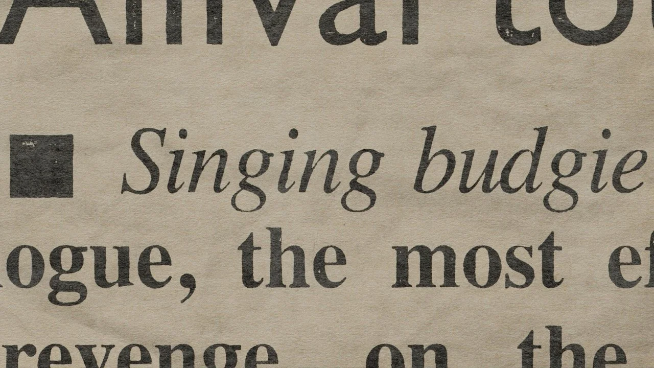 059 newspaper_SINGING_BUDGIE_2 Large.jpeg