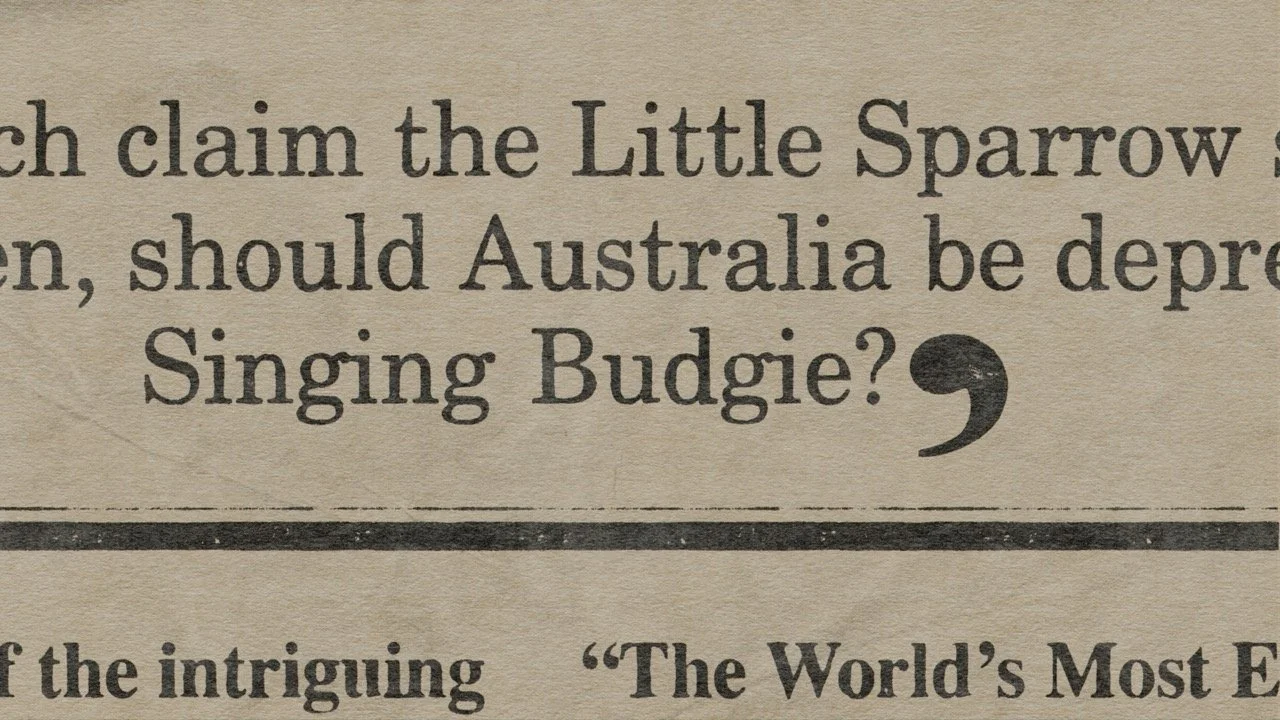 060 newspaper_SINGING_BUDGIE_3 Large.jpeg