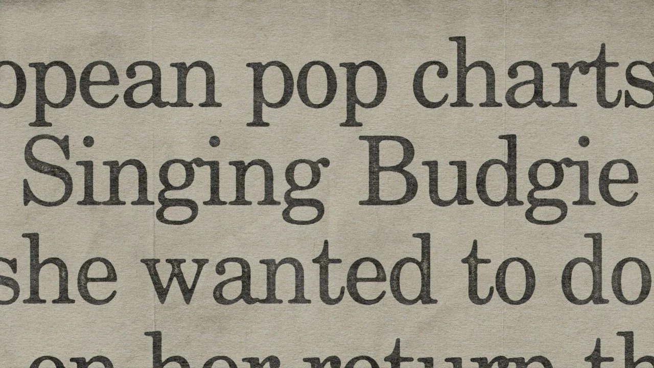 062 newspaper_SINGING_BUDGIE_6 Large.jpeg