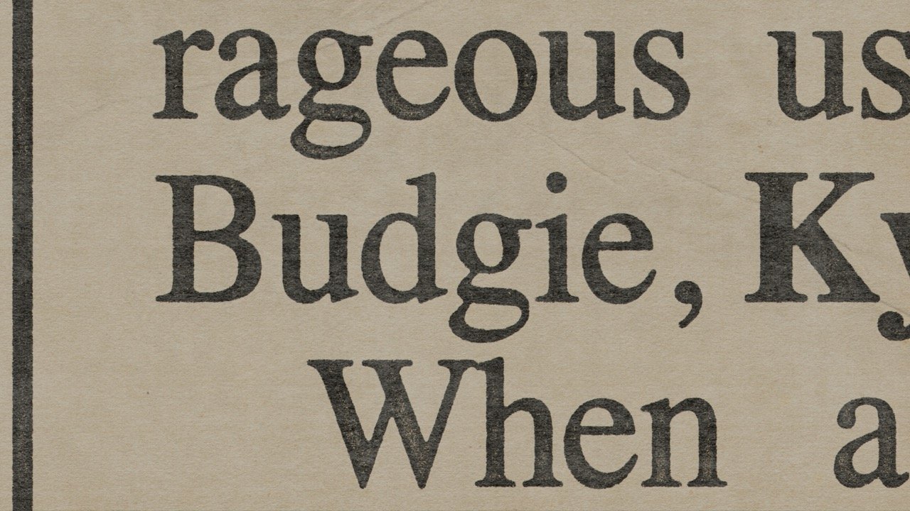 065 newspaper_BUDGIE_2 Large.jpeg
