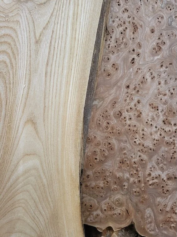 Samples of Scottish Ash and Elm hardwood boards