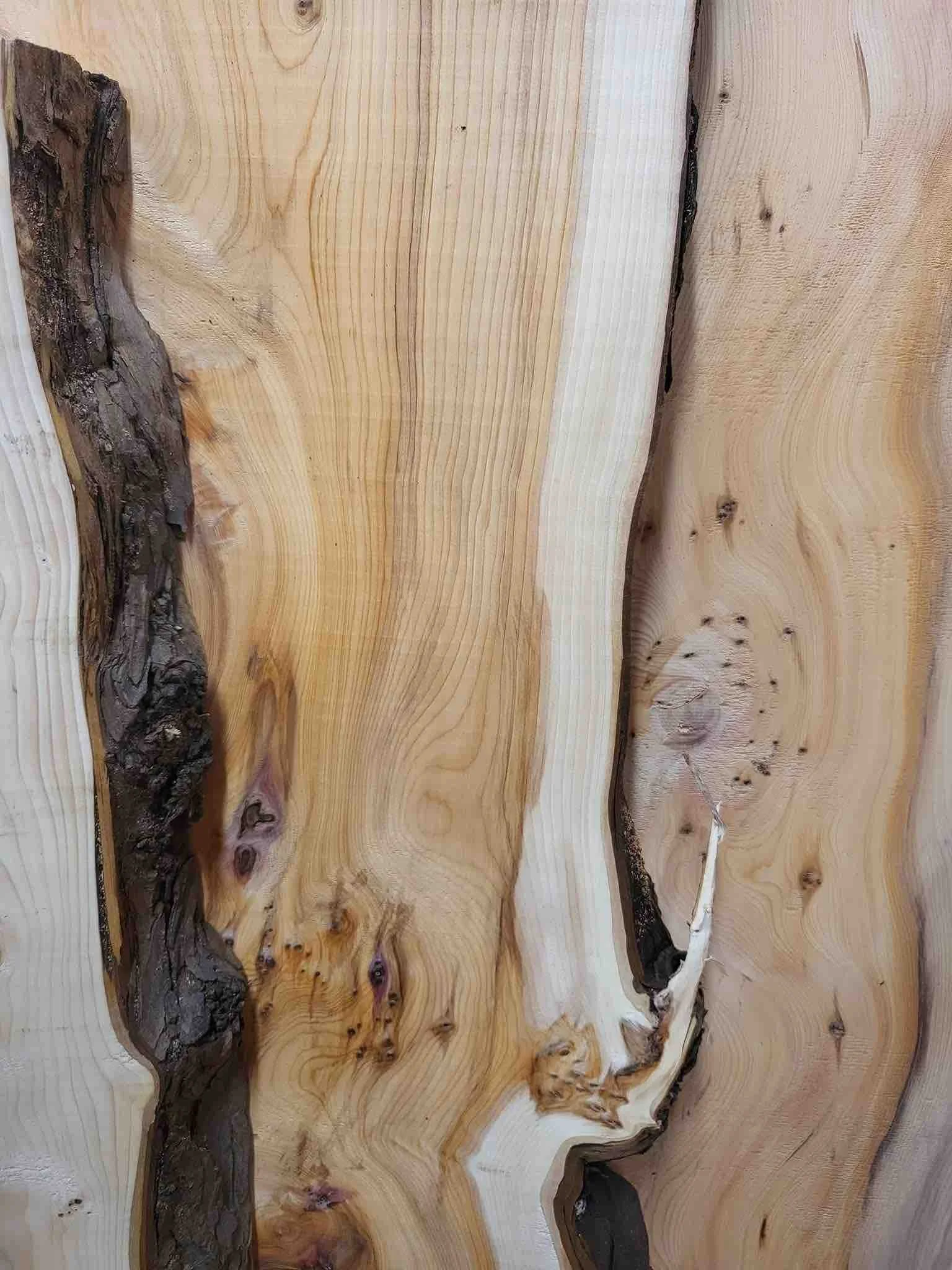 Sample of waney edge Yew hardwood board