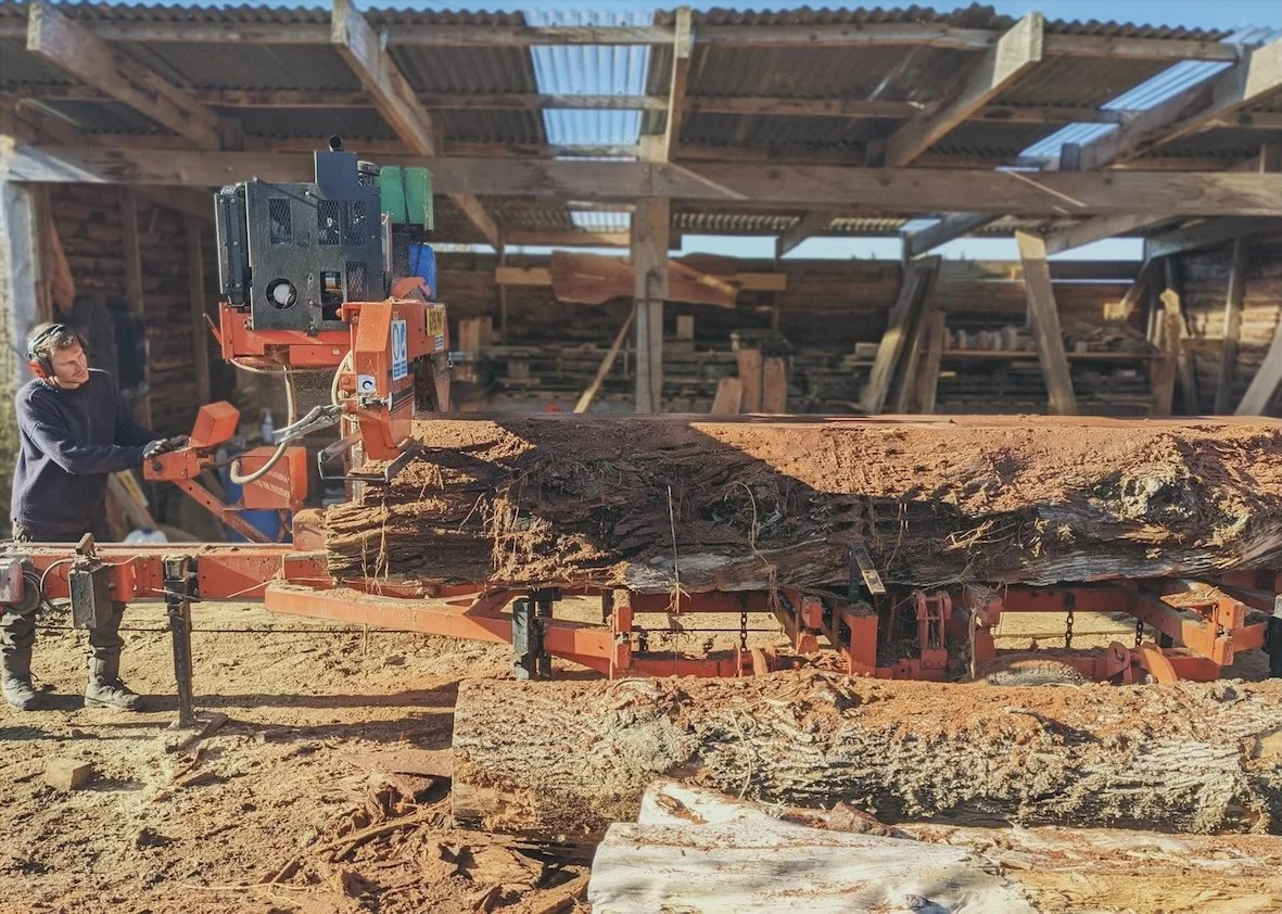 Moore Timber Co sawyer sawing through a large log on a Wood Mizer sawmill