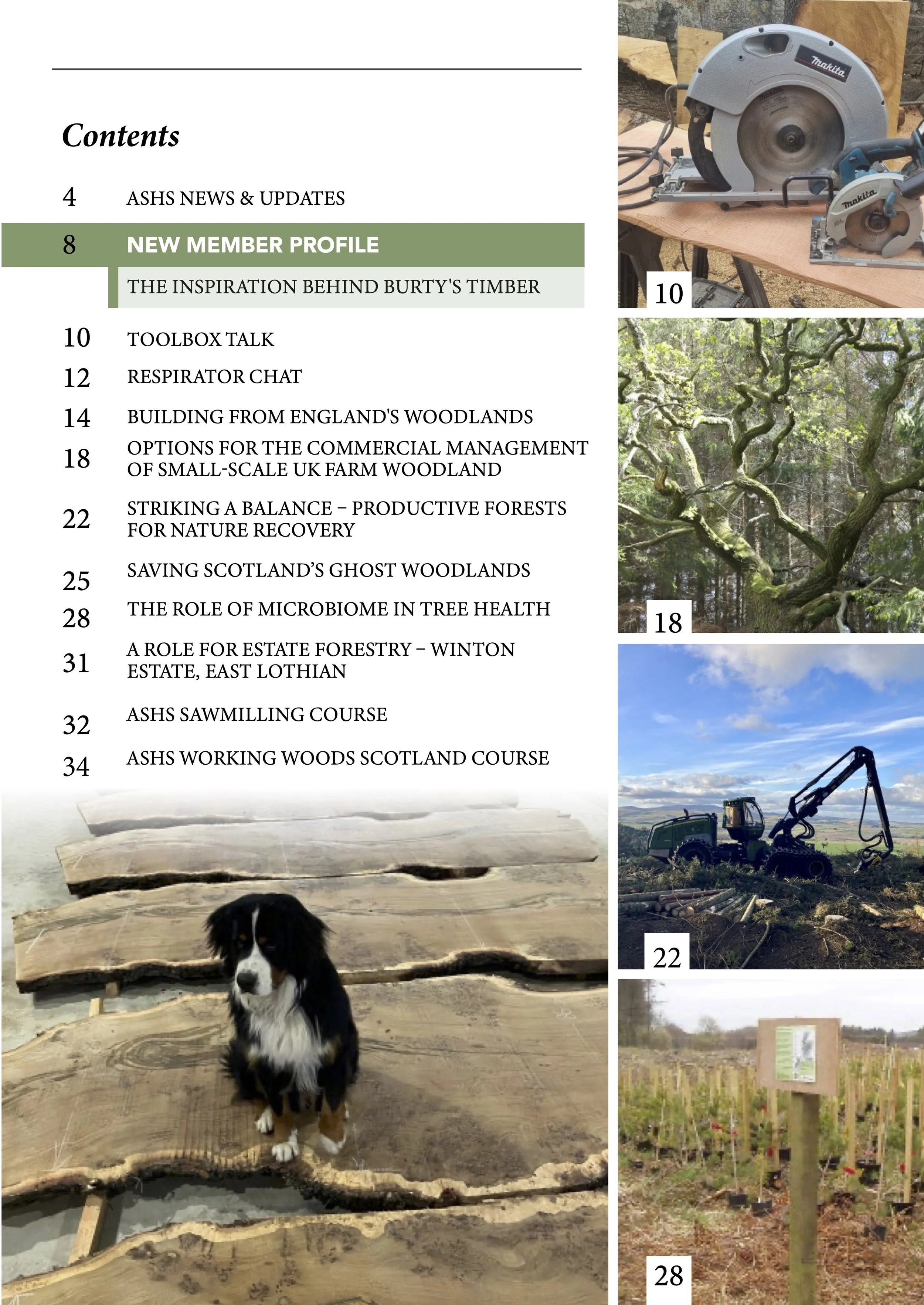 FC 19 (contents).jpg