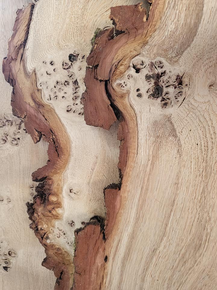 Sample of natural edge Oak hardwood board