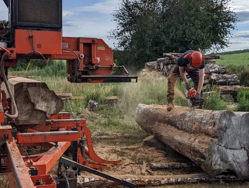 Chainsawing a large hardwood log at Moore Timber Co, ASHS member