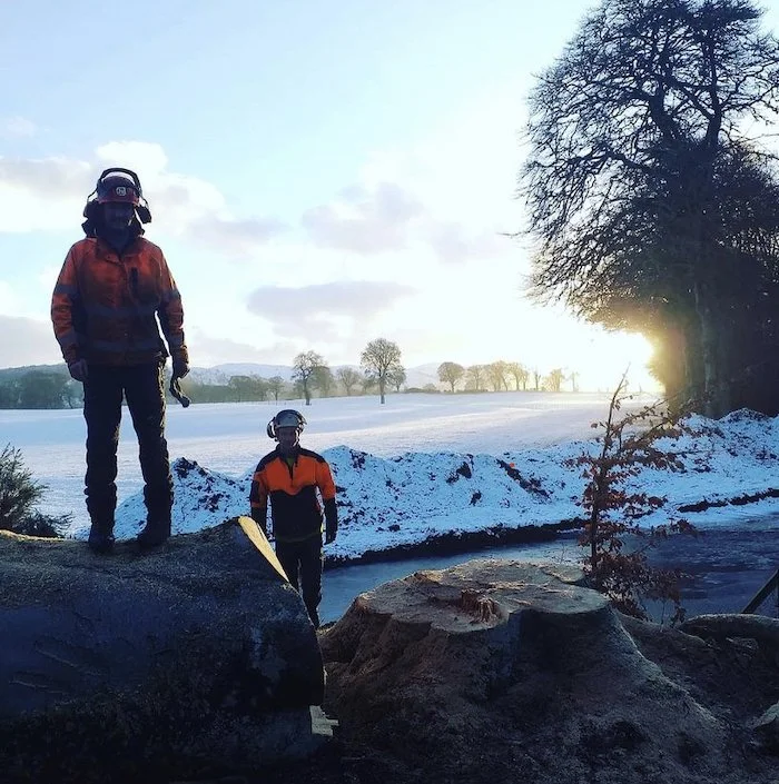 Treewise Forestry taking down a large tree in the snow