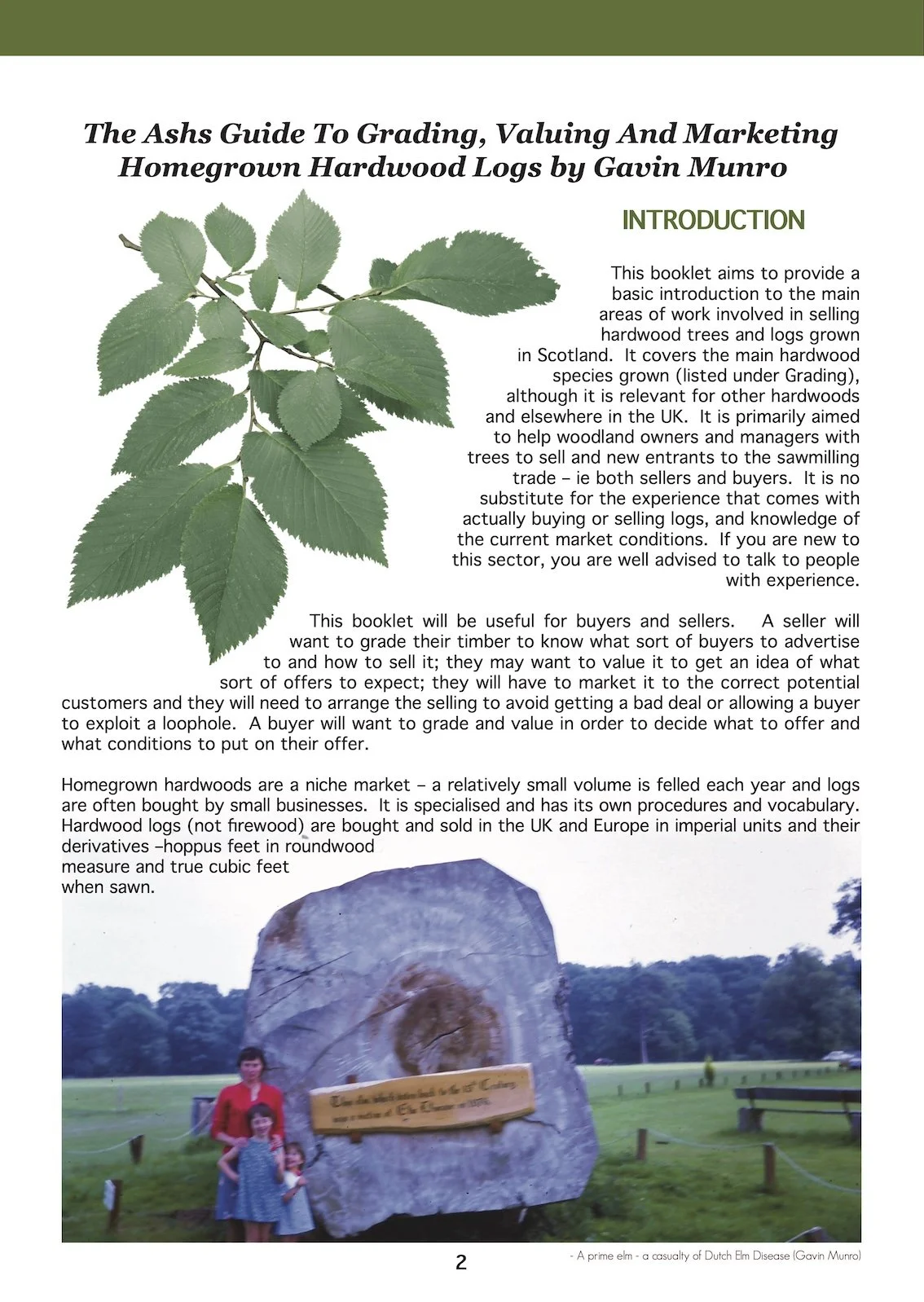 First page of the ASHS guide “Grading, Valuing and Marketing Homegrown Hardwood Logs” showing grading guidance