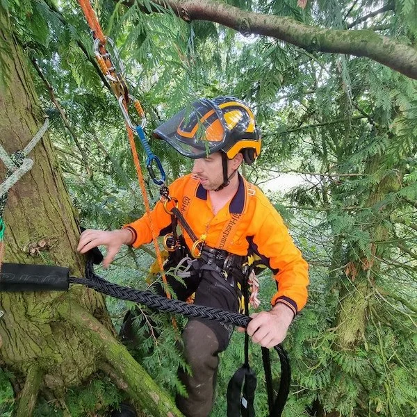 ASHS member O'Neill Trees & Timber performing arb work
