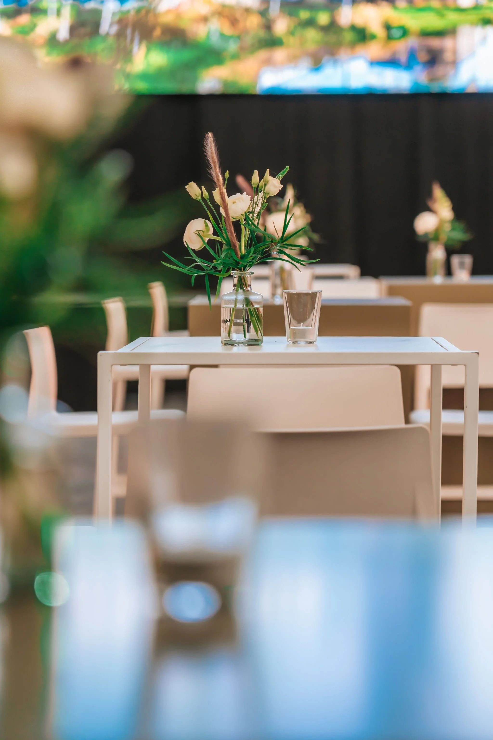 260225_STEELFRAMES-3 2.jpeg