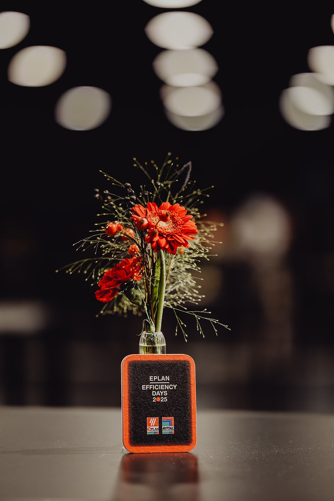 Eplan Efficiency Days 2025_7.jpg