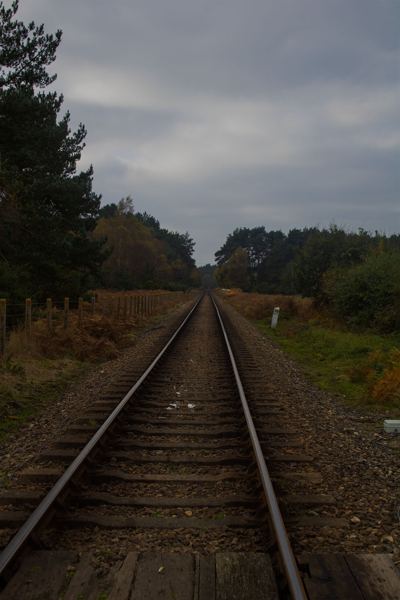 train track.jpg