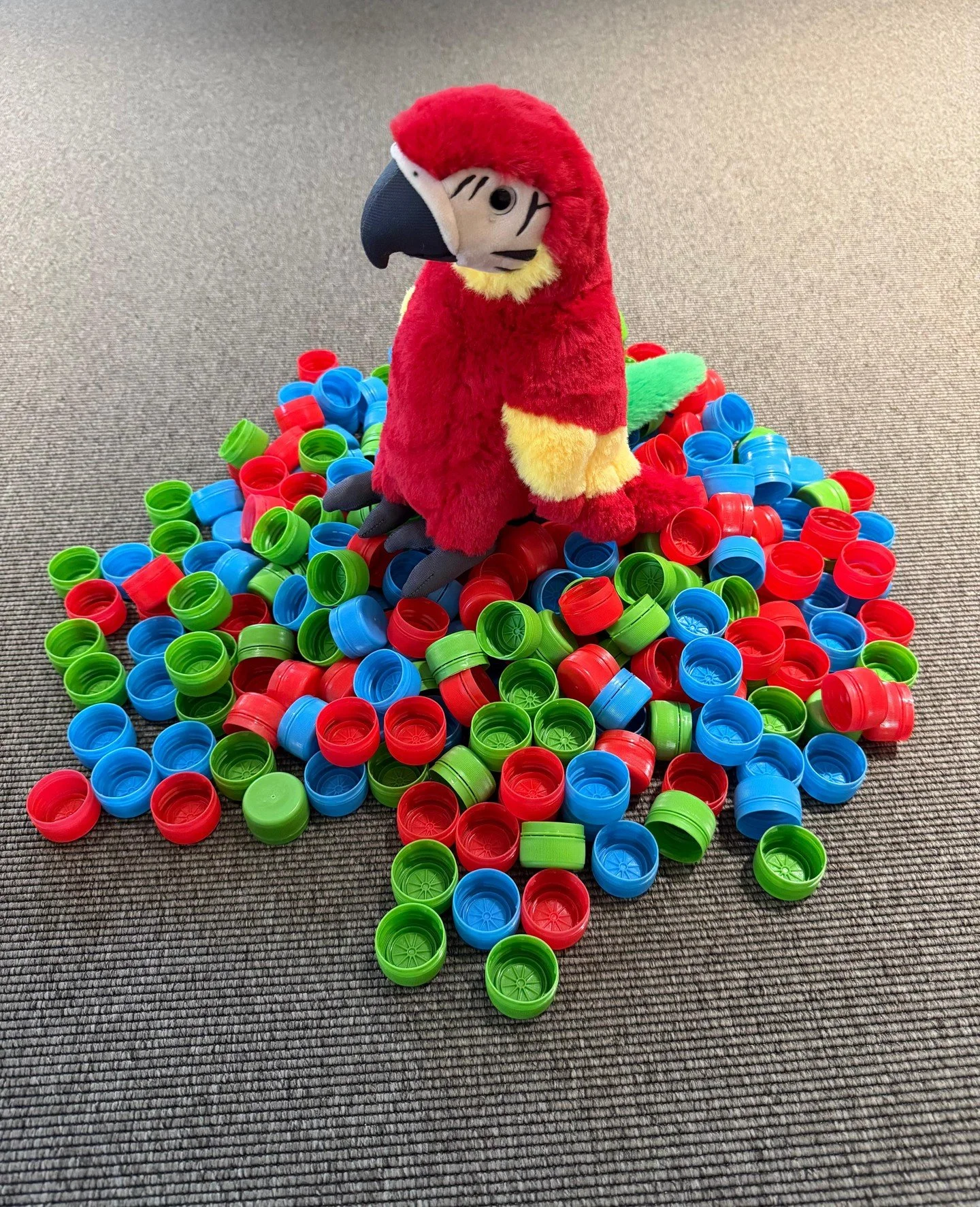 🦜Gewinnspiel🦜

Dieses Mal ist deine Sch&auml;tzf&auml;higkeit gefragt!

Auf wie vielen Deckeln macht es sich unser Pepito hier gem&uuml;tlich?

Schreib deine Sch&auml;tzung in die Kommentare, um an der Verlosung teilzunehmen. 

Unter den richtigen 