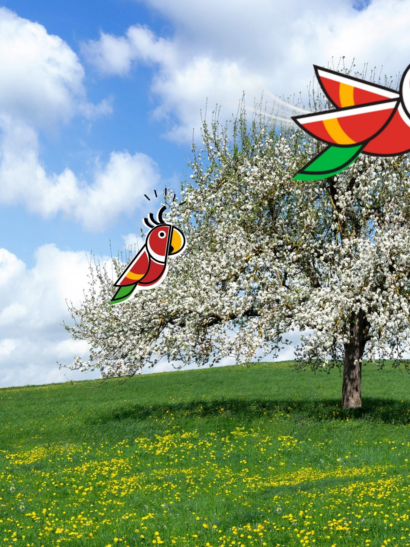 Pepito nutzt das verl&auml;ngerte Wochenende f&uuml;r einen Flug &uuml;ber die sch&ouml;nsten Ecken des Baselbiets! 🦜🌿 Wer sagt eigentlich, dass man f&uuml;r grosse Abenteuer immer weit reisen muss?

Oft liegt das Beste direkt vor der Haust&uuml;r.