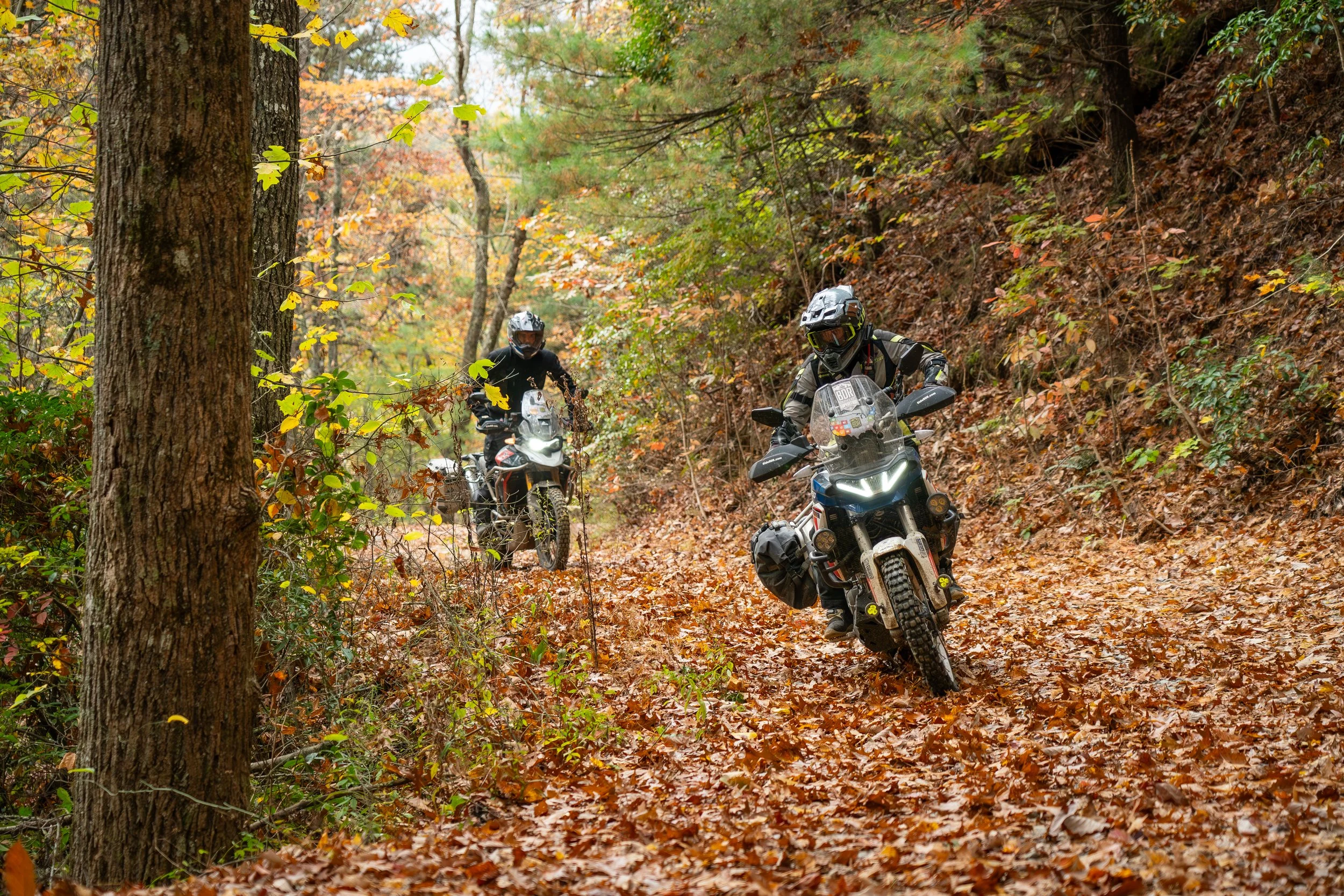 Join SheADV at March Moto Madness 2025
