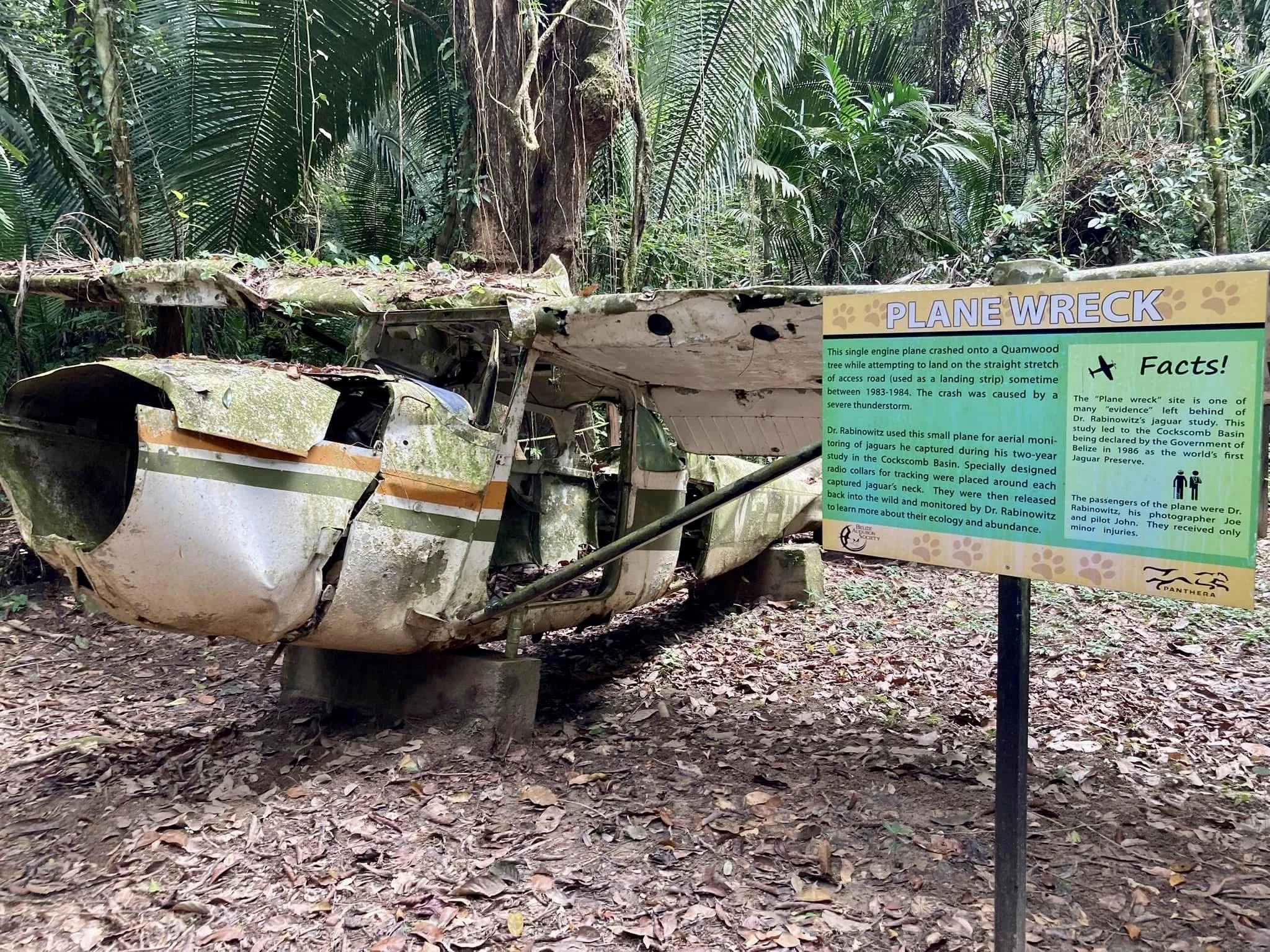 Plain wreck.JPG