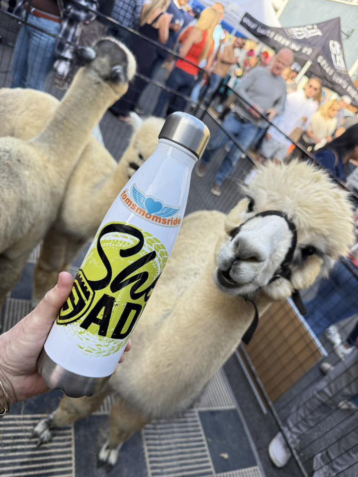 SheADV Stainless Steel Waterbottle