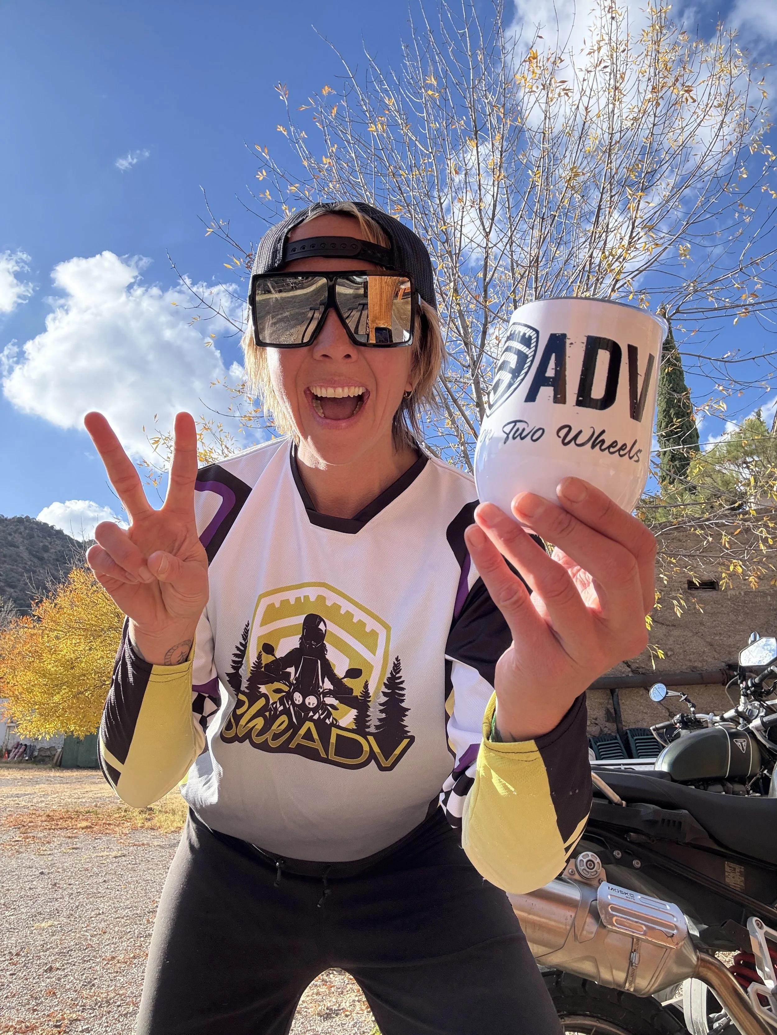 Kickstands Down Stainless Steel Wine Tumbler