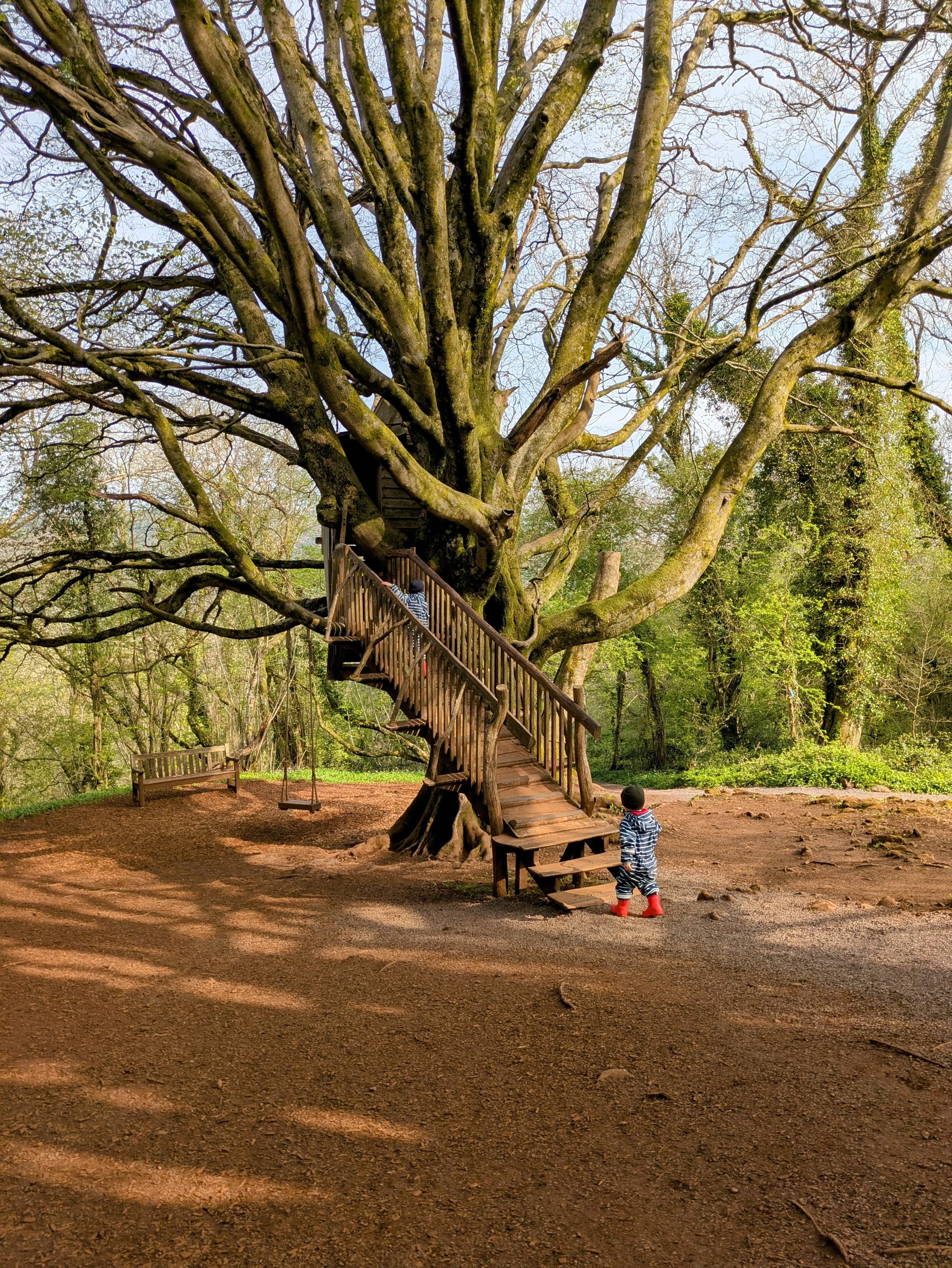 Treehouse_Puddlesuits.jpeg