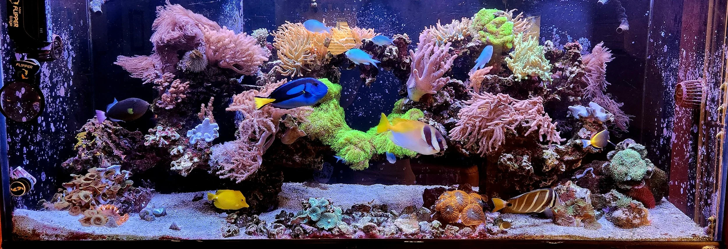 Commercial Tank Maintenance