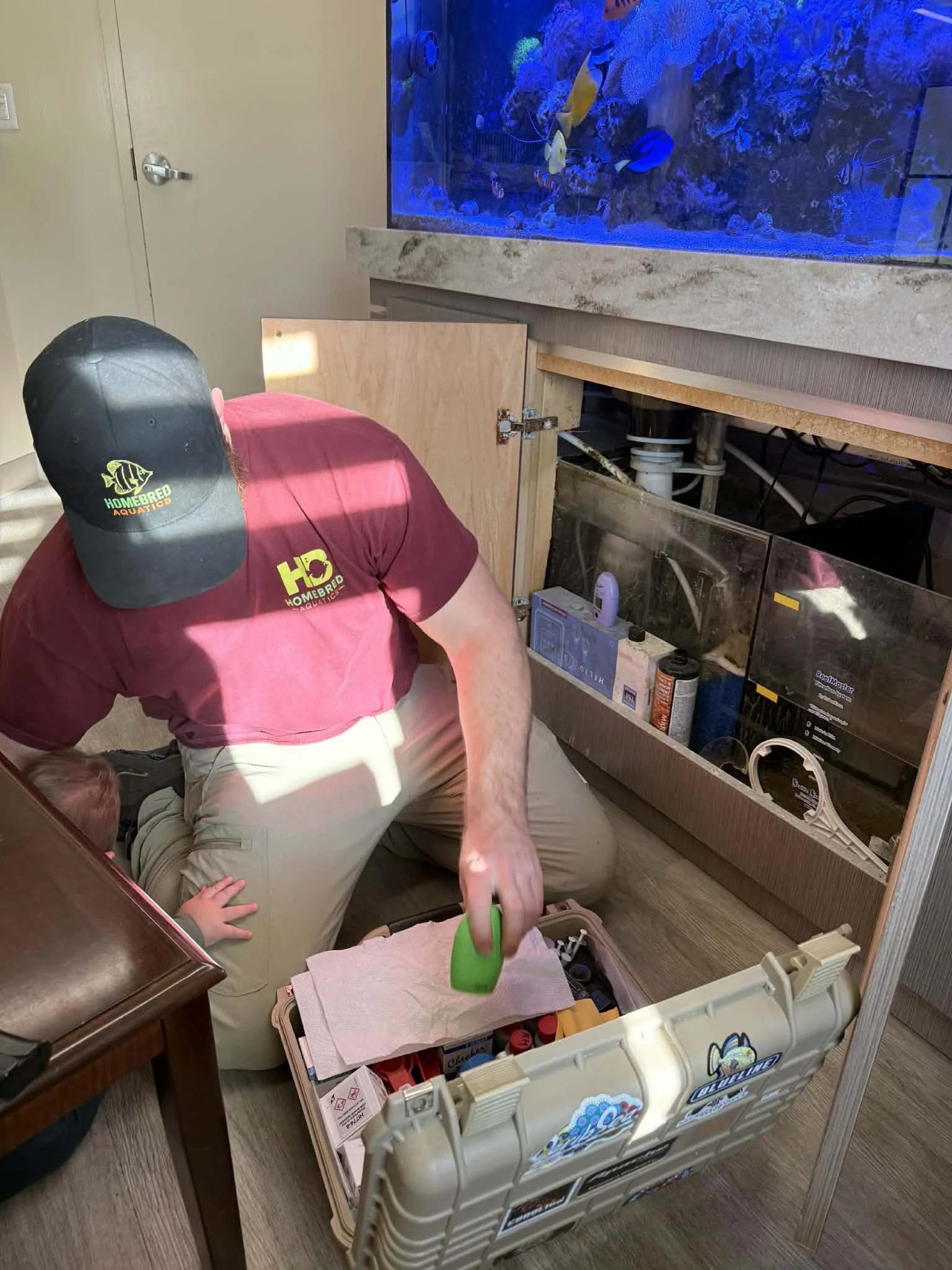 Saltwater & Reef Aquarium Maintenance