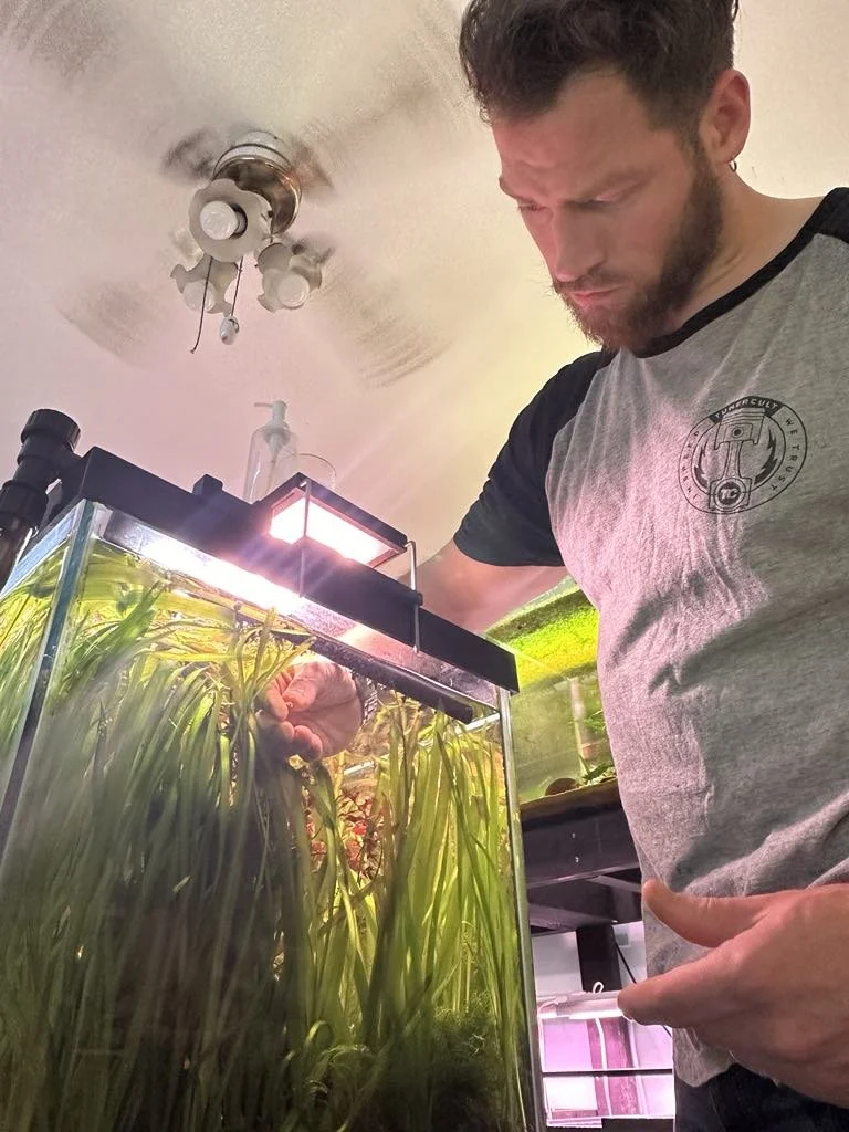 Freshwater Maintenance