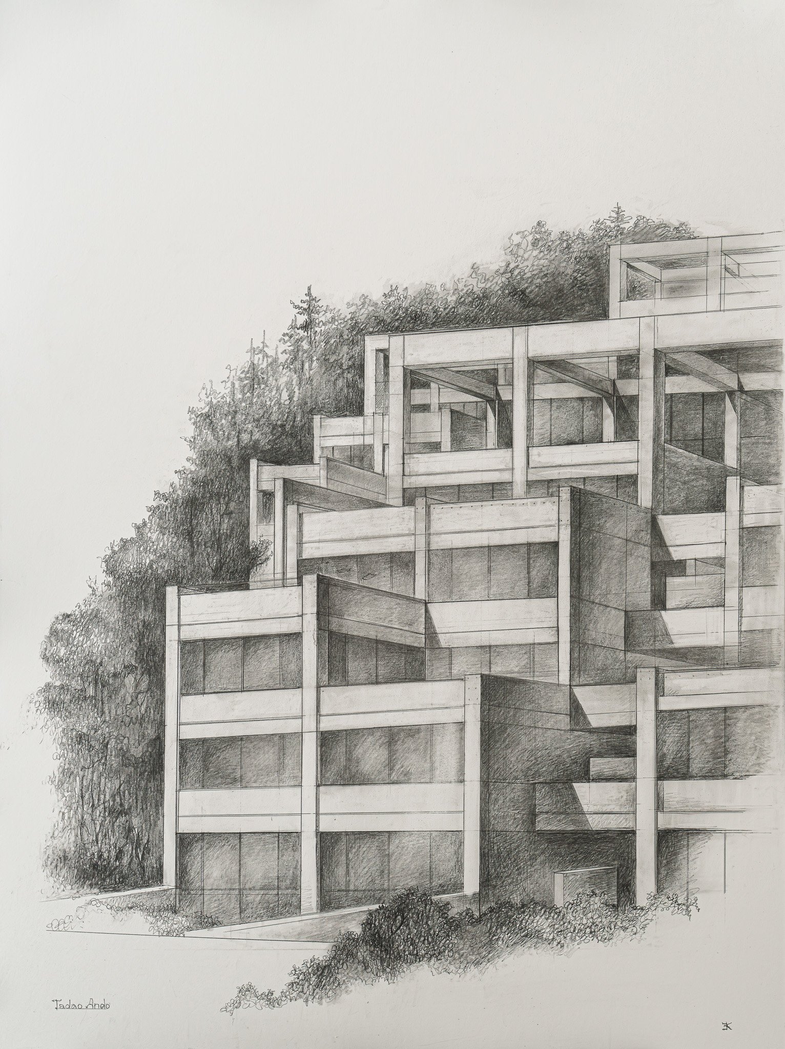 TadaoAndo.jpg