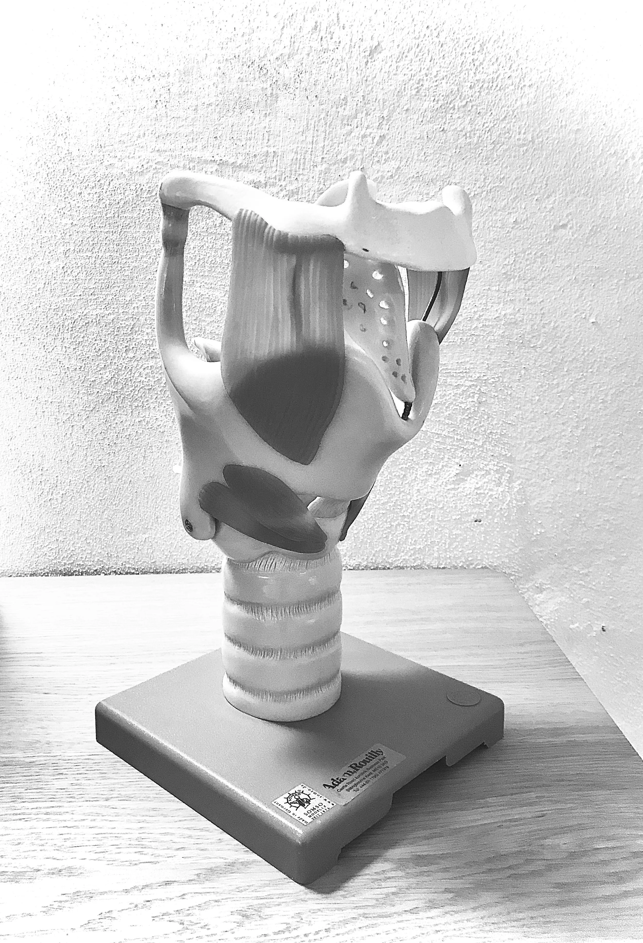 strubemodel kopi.jpg