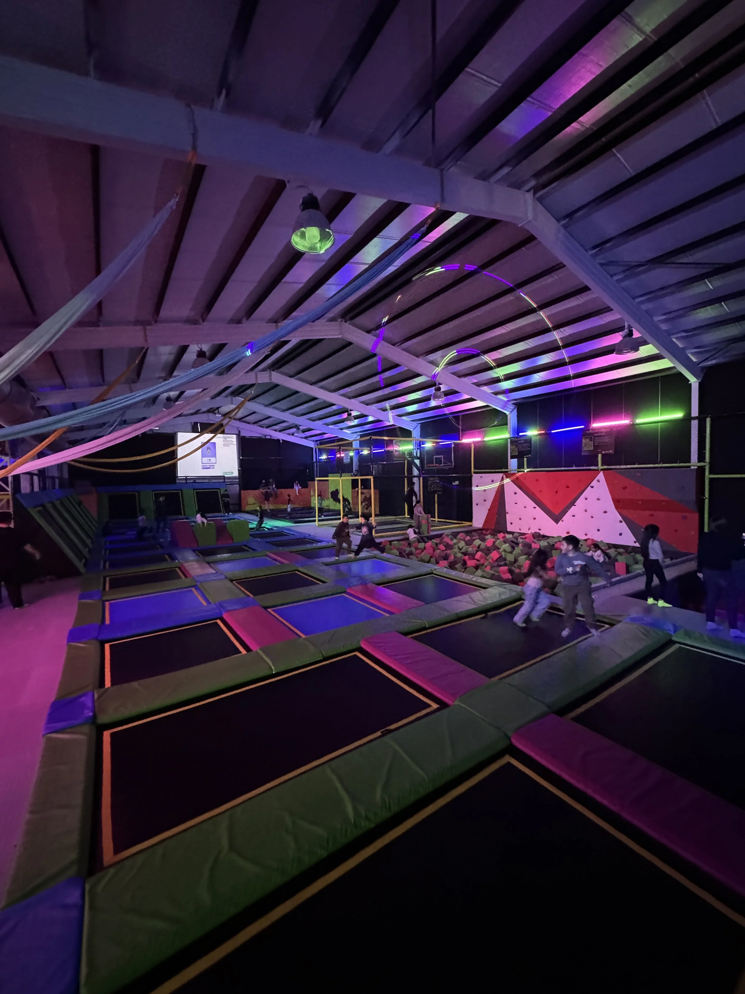 image_6209779 (2).JPG