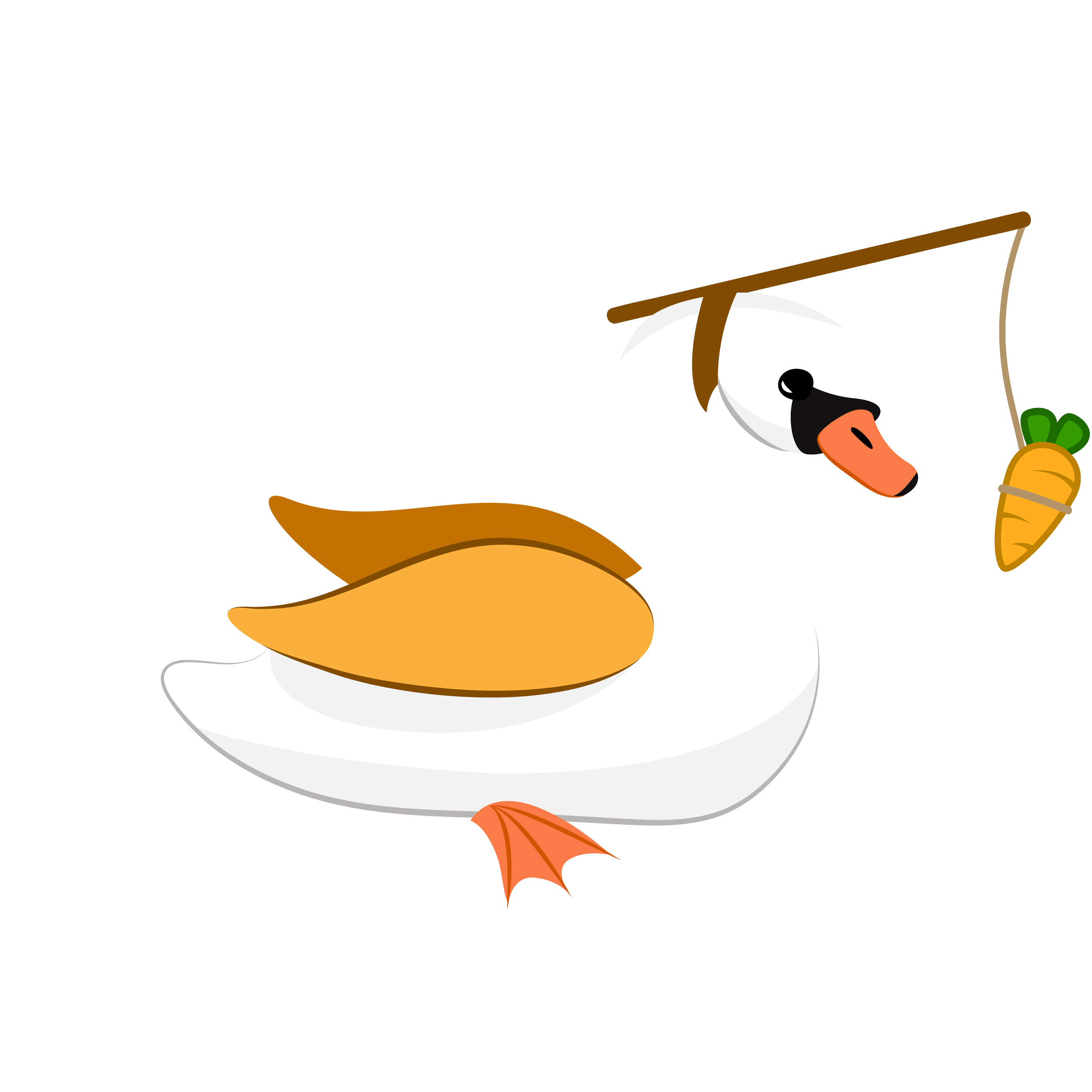 Orange Swan_Robert.png