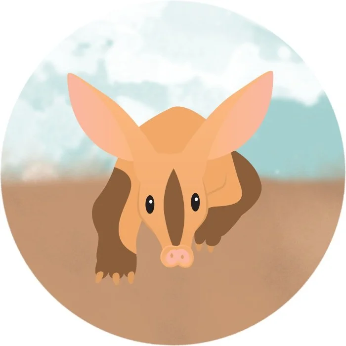 aardvark.jpg