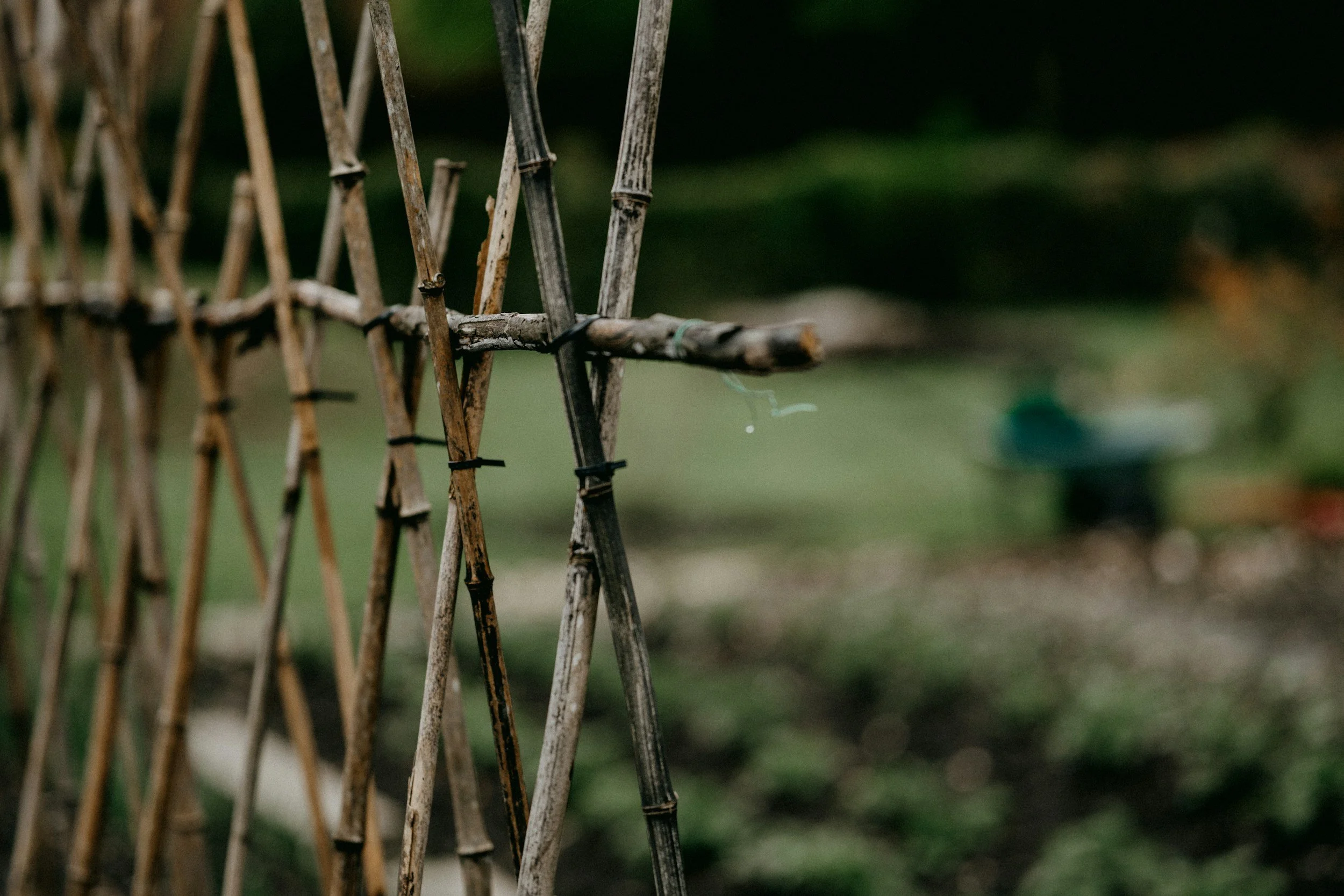 unsplash-image-kXYmkZF0s6Q.jpg