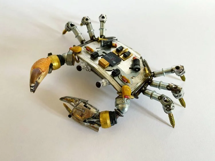 Crabs