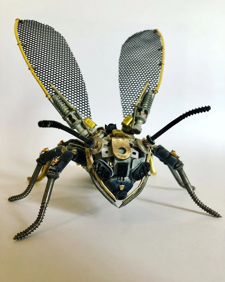 Wasp