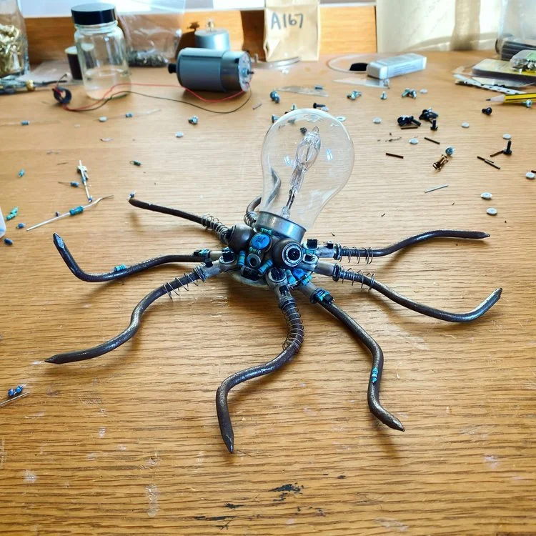Octopus