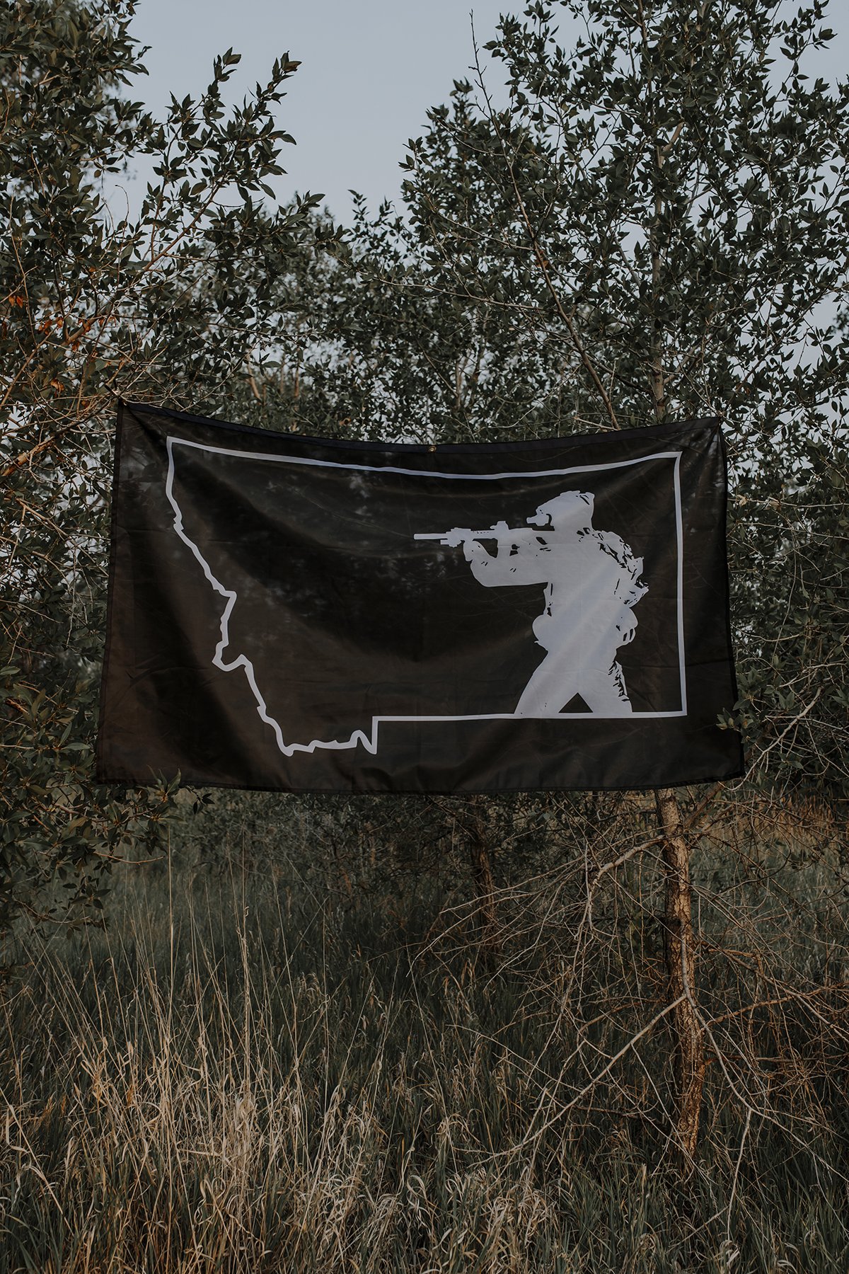 The BSB Flag