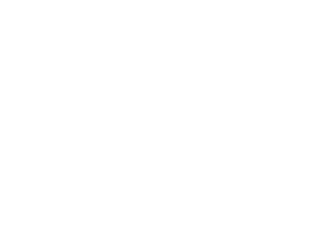 Sav J. Art 